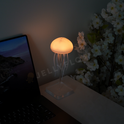 Floating Jellyfish Lamp